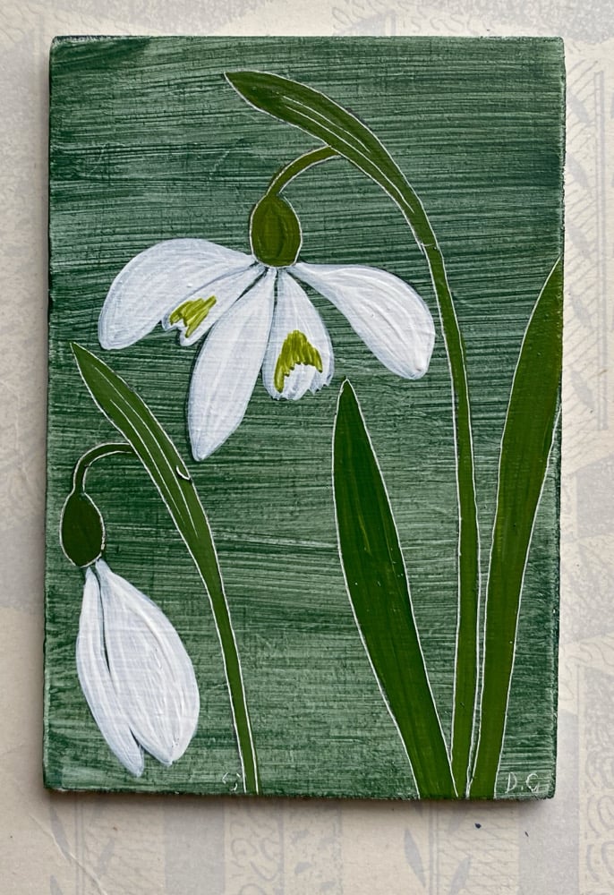 Image of Snowdrop Study (C)