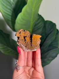 Image 1 of SUGAR DRUZY CHALCEDONY X MANGANESE -MOROCCO- Q