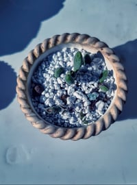 Image 2 of Basket medium -Sedum(με παχύφυτο)