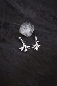 Image 1 of Môr: Gwymon Pendant