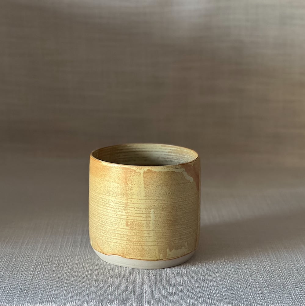 Image of SUNSHINE MEDIUM PLANTER