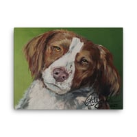 Image 2 of Brittney Spaniel