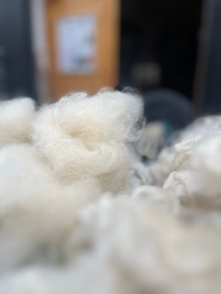 Image of Alpaca fleece tops