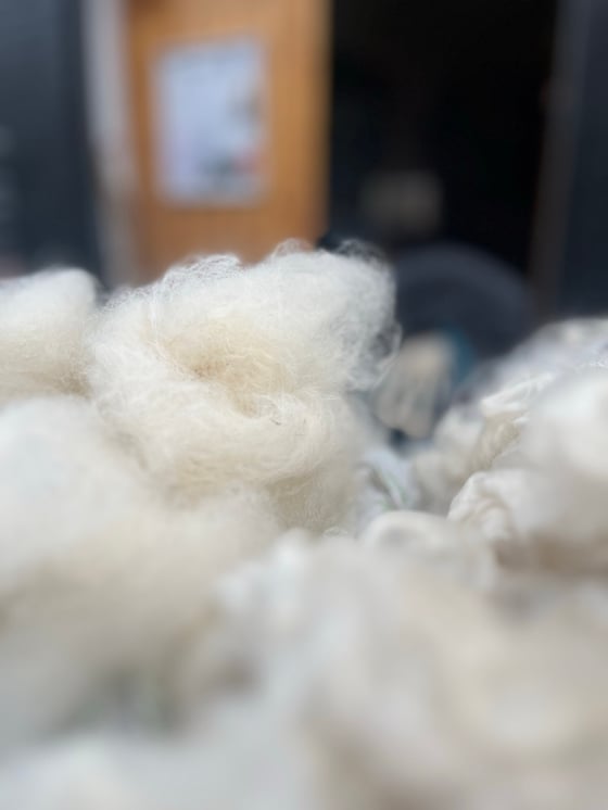 Image of Alpaca fleece tops