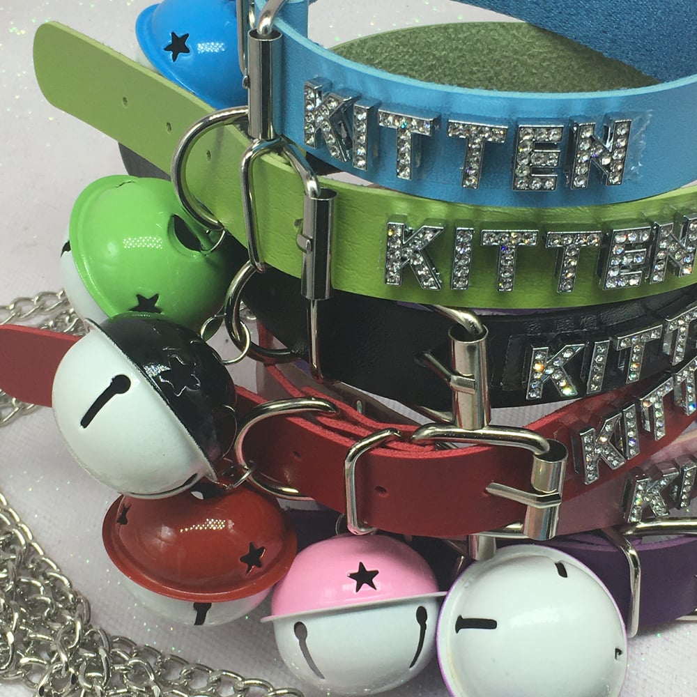 Kitten Collar With Bell and leash 🐈‍⬛❤️