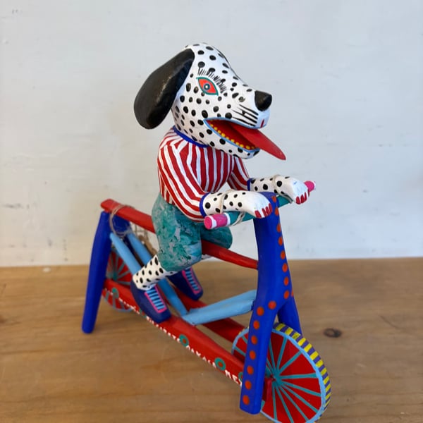 Image of Cyclist from Oaxaca ABFAB 