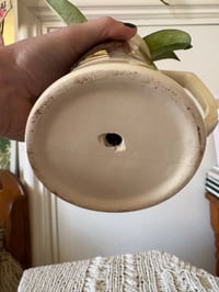 Image 2 of Hoya Pubicalyx in gilded Horse Mug