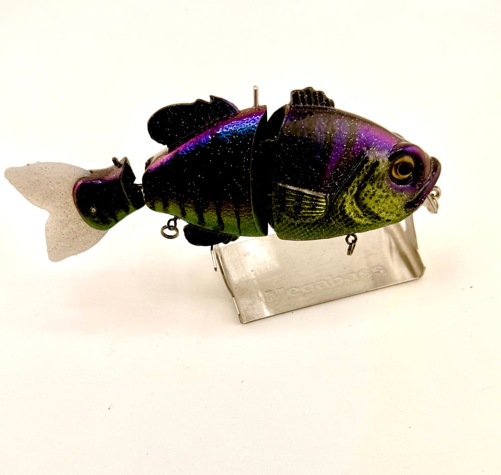 Blue Collar Gill 3 Piece Swimmer