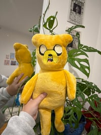 Jumbo Jake Dog