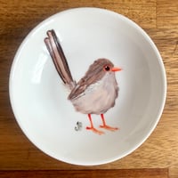 Female Superb Fairywren Trinket Dish