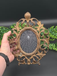 Image 1 of Beautiful Victorian framed wall hanging preserved spider web