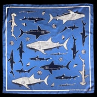 Image 1 of Coexist Scarf