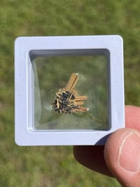 Image 12 of Golden Rutile & Hematite Star Specimen|Brazil #2932