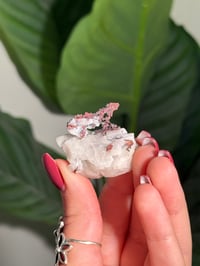 Image 2 of COPPER X MALACHITE STAINED QUARTZ -MOROCCO- G