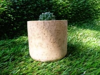 Image 1 of Organic Mammillaria Cylinder Medium