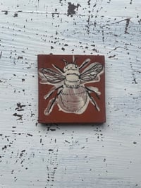 Image 2 of Bee