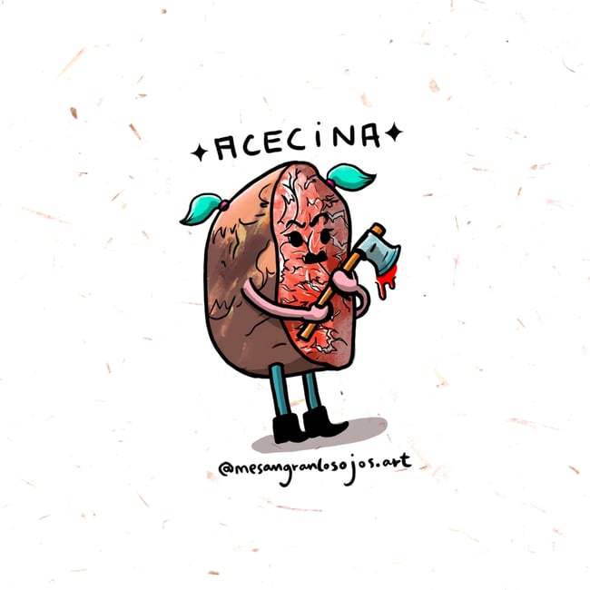 Acecina