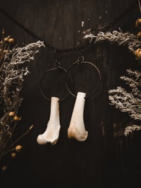 Image 1 of Spirals copy