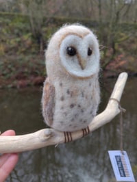 Image 2 of Needle Felted Barn Owl 