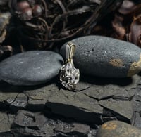 Image 2 of Rock Pool Pendant