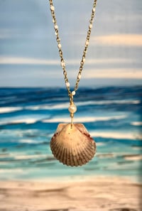 Image 3 of Scallop Shell Necklace N205