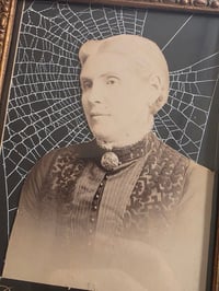 Image 4 of Statement Victorian photocard With Preserved Web in antique frame