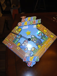 Image 1 of 3D Mario Luigi Graduation