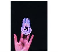 Image 1 of PANSY 