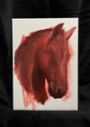 horse - original painting