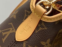 Image 4 of LV Ever More