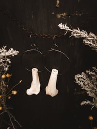 Image 4 of Spirals copy