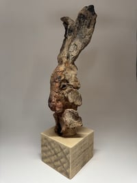 Image 2 of “William”