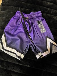 Image 2 of HN PURPLE MESH SHORTS