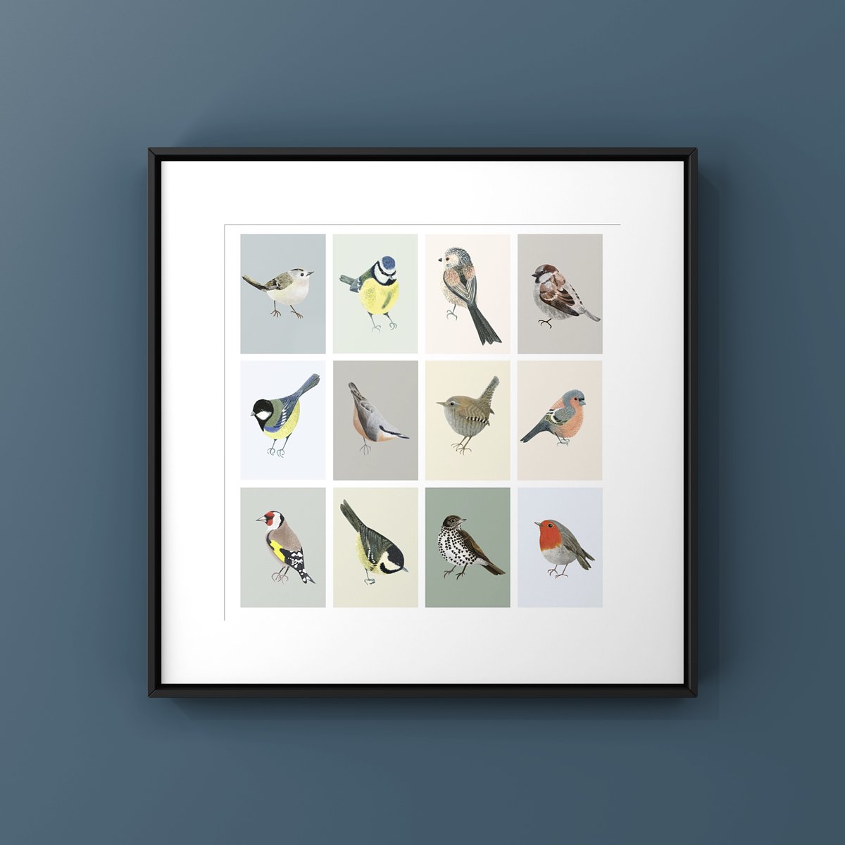 The Garden Birds Limited Edition Print