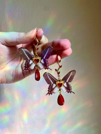 Image 3 of ♥️Heart of the Butterfly♥️