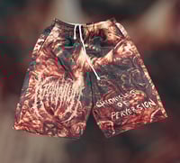 Image 2 of Kraanium / Party Cannon