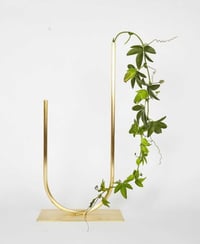 ACV Studio Uneven U shape Vase wide width brass.