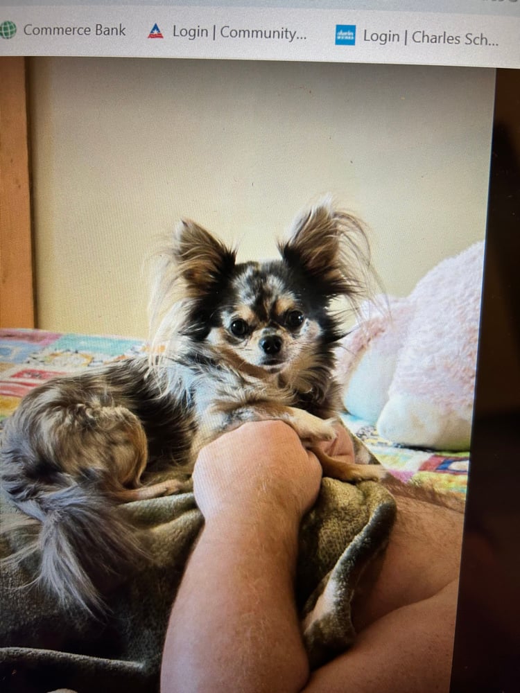 Image of Reserved for Katie, Chloe!