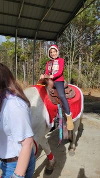 Image 3 of Cookie exchange, Santa, Snowfall, Grinch, horse rides, MORE! 