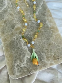 Image 1 of Blooming Tulip