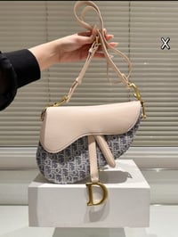 Image 1 of DIOR The Dior Saddle Bag