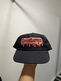 Image 1 of '95 Goosebumps Snapback