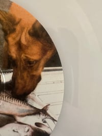 Image 4 of Oasis : Some Might Say, framed 7” pearl vinyl record, 30th Anniversary, limited edition