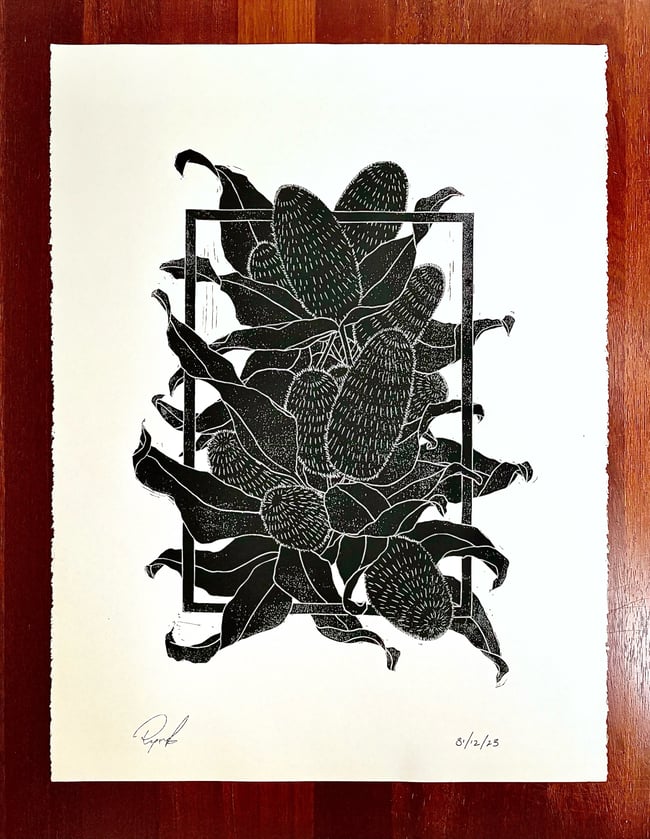 Broken Frame Banksias