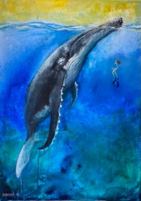 Image 1 of Swimming with Whales