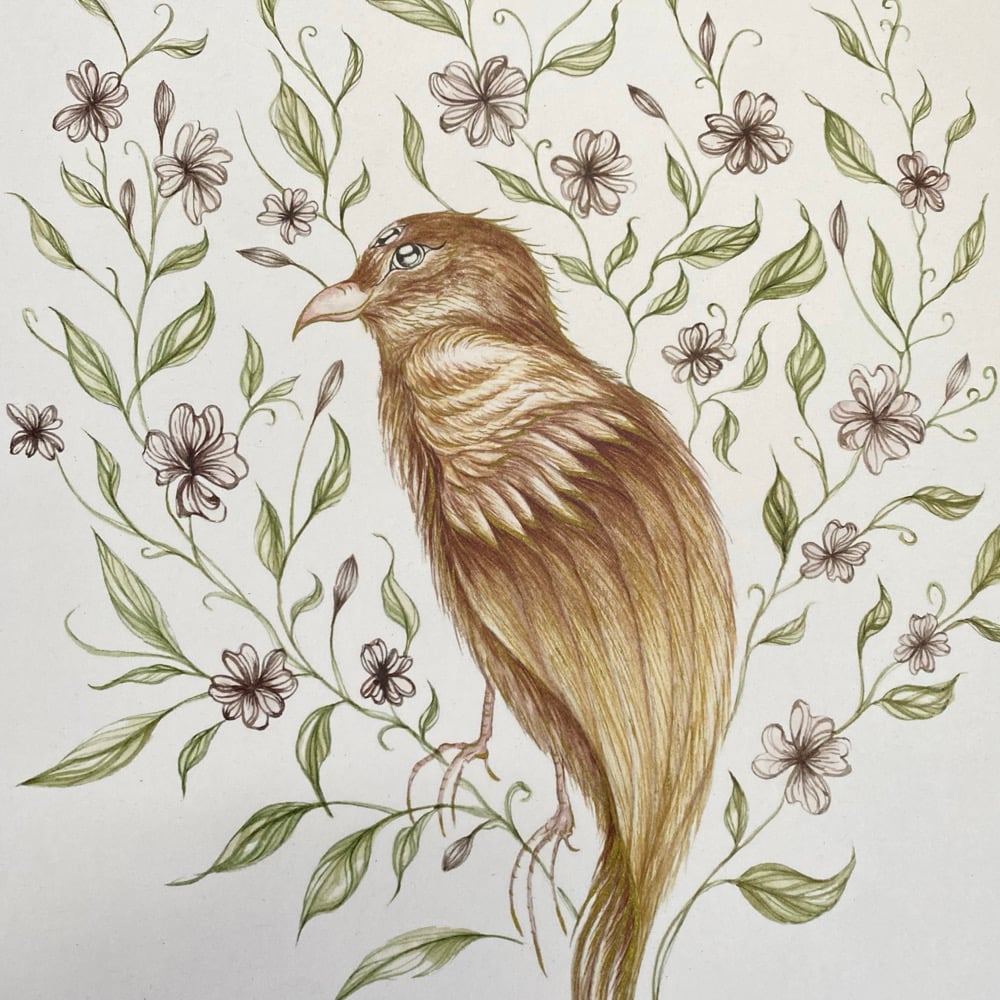 Image of Cherry Blossom