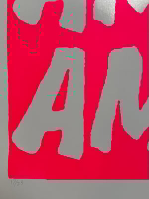 Image of Fluoro AMAZING Pink Edition