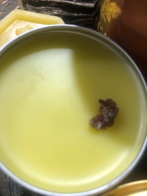 Image of Pine Resin Salve