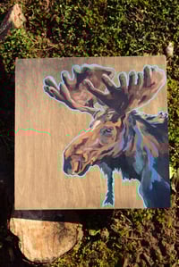 Image 1 of Maine Moose
