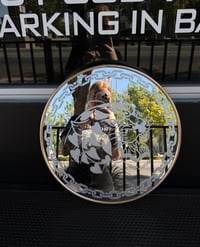 Image 2 of Panther mirror